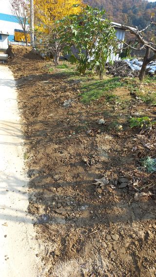 곤지암부곡농부김동천님의 감자 · 영농일지 작성글 사진