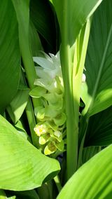 팜모닝 자유주제·자유게시판 게시글 이미지