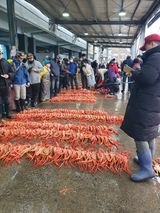 팜모닝 장터이야기·자유게시판 게시글 이미지