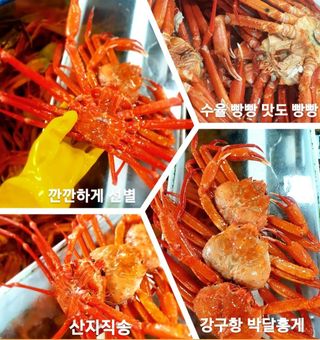 노가네수산님의 장터이야기 · 자유게시판 작성글 사진