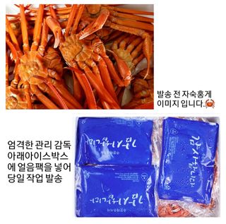 노가네수산님의 장터이야기 · 자유게시판 작성글 사진