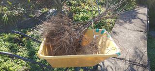 달맛햇복숭아농원님의 복숭아 · 자유게시판 작성글 사진