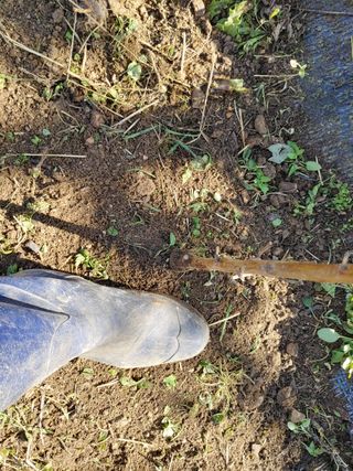 달맛햇복숭아농원님의 복숭아 · 자유게시판 작성글 사진