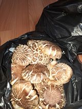 팜모닝 11월 내 작물 자랑하기·참여글 게시글 이미지