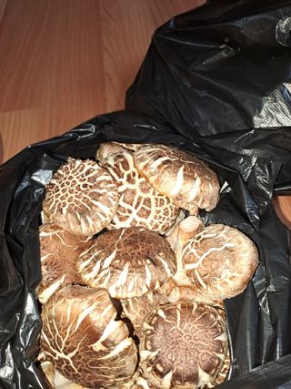 강정희님의 11월 내 작물 자랑하기 · 참여글 작성글 사진