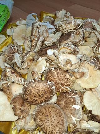 강정희님의 11월 내 작물 자랑하기 · 참여글 작성글 사진