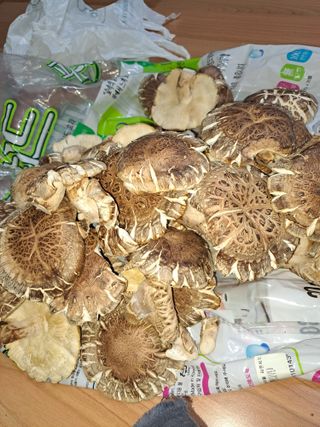 강정희님의 11월 내 작물 자랑하기 · 참여글 작성글 사진