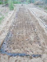 팜모닝 마늘·영농일지 게시글 이미지