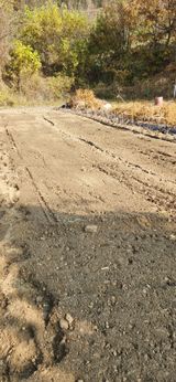 팜모닝 마늘·파종작업 게시글 이미지