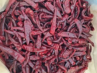 한명희님의 고추 · 시세•판로 작성글 사진