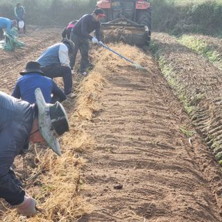 모두팜님의 11월 내 작물 자랑하기 · 참여글 작성글 사진