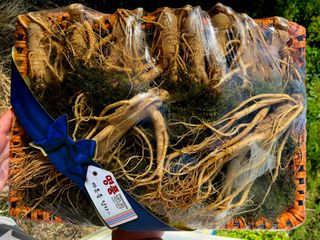 모두팜님의 11월 내 작물 자랑하기 · 참여글 작성글 사진