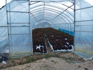 학사농원님의 11월 내 작물 자랑하기 · 참여글 작성글 사진