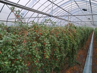 이천순님의 농기계정보 · 자유게시판 작성글 사진