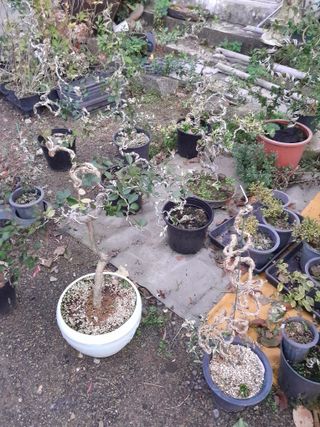 정상훈님의 11월 내 작물 자랑하기 · 참여글 작성글 사진