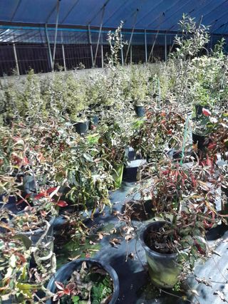 정상훈님의 11월 내 작물 자랑하기 · 참여글 작성글 사진