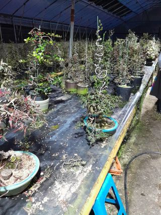 정상훈님의 11월 내 작물 자랑하기 · 참여글 작성글 사진