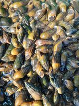 팜모닝 자유주제·자유게시판 게시글 이미지