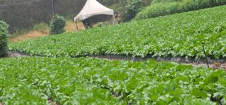 이원태님의 작성글 사진