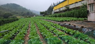 이원태님의 작성글 사진