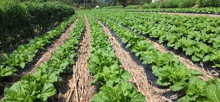 이원태님의 작성글 사진