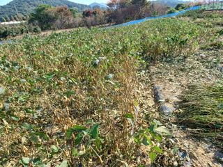 세경농장님의 11월 내 작물 자랑하기 · 참여글 작성글 사진