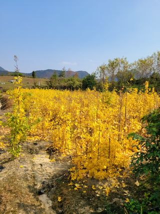 상근농원김덕주님의 11월 내 작물 자랑하기 · 참여글 작성글 사진