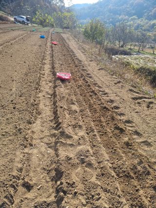 권재하님의 마늘 · 파종작업 작성글 사진