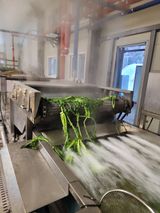 팜모닝 기타작물·영농일지 게시글 이미지