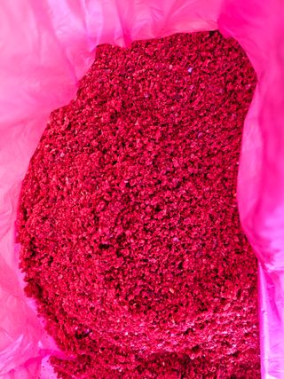 해풍님의 작성글 사진