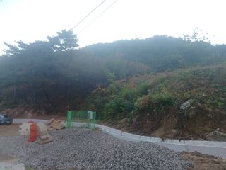 오영도님의 자유주제 · 자유게시판 작성글 사진