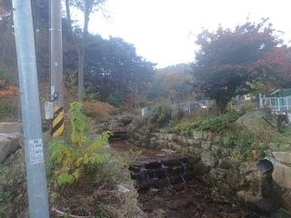 오영도님의 자유주제 · 자유게시판 작성글 사진