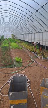 팜모닝 기타작물·영농일지 게시글 이미지