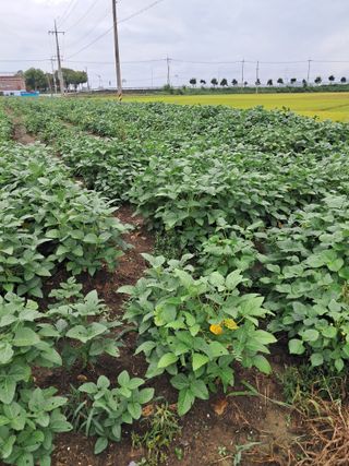 김기한님의 작성글 사진