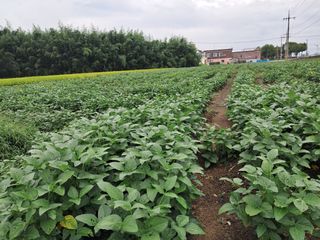 김기한님의 작성글 사진