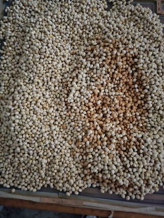 김기호님의 11월 내 작물 자랑하기 · 참여글 작성글 사진