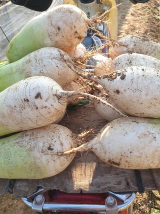 김화연님의 자유주제 · 자유게시판 작성글 사진