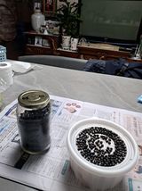 팜모닝 11월 내 작물 자랑하기·참여글 게시글 이미지