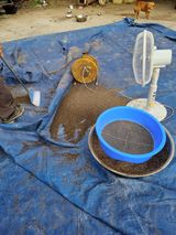 팜모닝 들깨·자유게시판 게시글 이미지