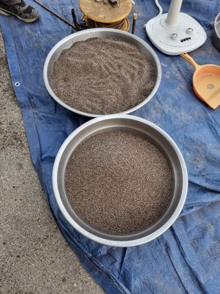 아름다운초옥농원님의 들깨 · 자유게시판 작성글 사진