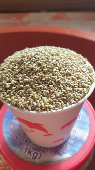 정용묵님의 두릅 · 품종•종자 작성글 사진