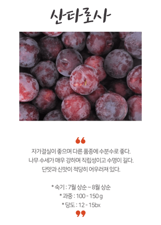 일심묘목농원님의 작성글 사진