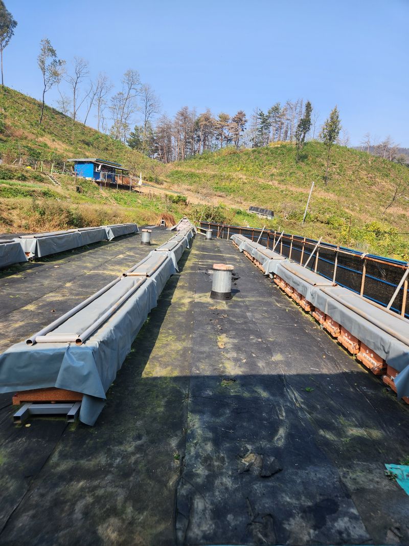 장터 상품 [해오름 벌꿀(야생화. 아카시아. 밤) 대. 소.010 3070 7428로 전화. 문자 주세요.] 썸네일