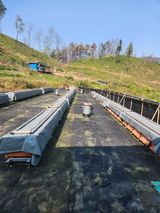 팜모닝 · 게시글 이미지