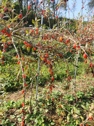 고영희님의 작성글 사진