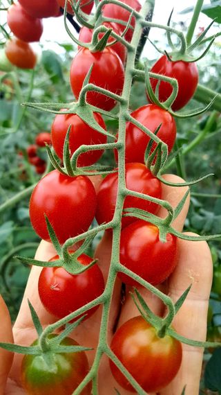 알 수 없음님의 작성글 사진