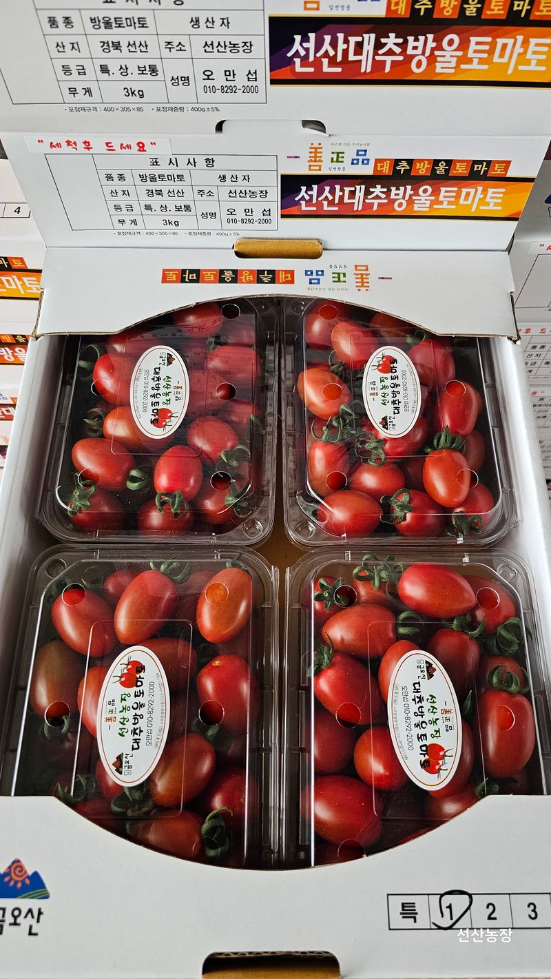 알 수 없음님의 장터 판매 상품 [대추방울토마토 3kg] 첨부 사진