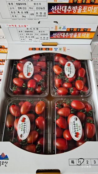 알 수 없음님의 작성글 사진