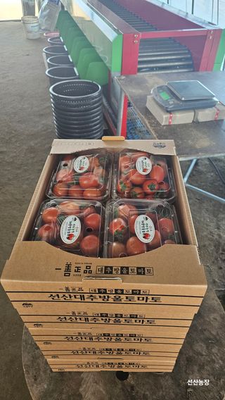 알 수 없음님의 작성글 사진