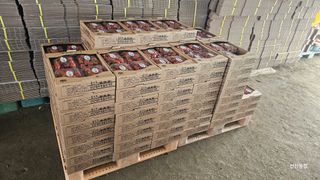 알 수 없음님의 작성글 사진